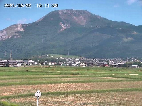 1011 ひこばえ.jpg