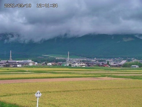 1241 稲刈り進んでる.jpg
