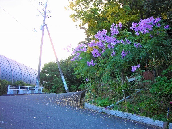 DSCN0389.jpg
