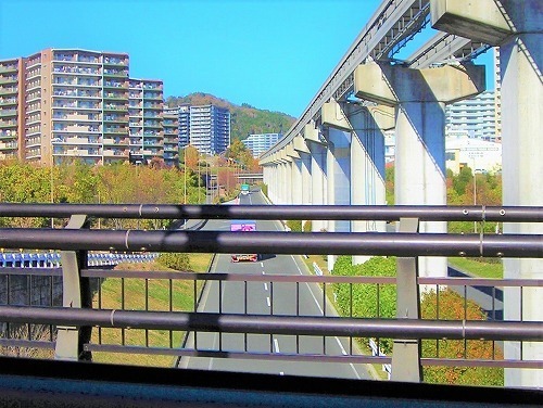 DSCN0726.jpg