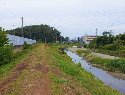 DSCN1178.jpg