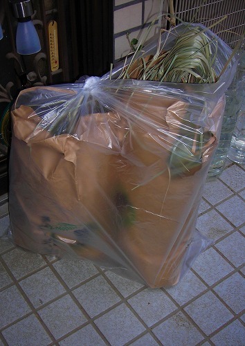 DSCN4846.jpg