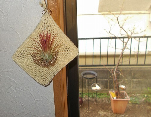 DSCN5546.jpg