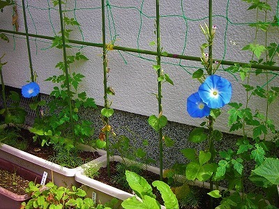 DSCN6887.jpg