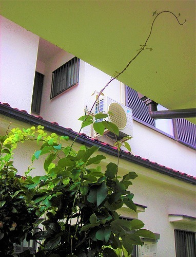 DSCN6894.jpg