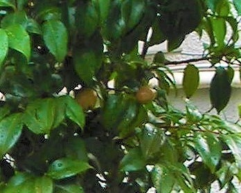 DSCN6912.jpg