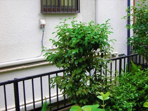DSCN6913.jpg