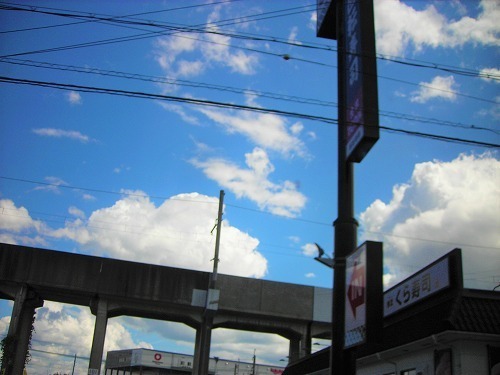 DSCN7841.jpg