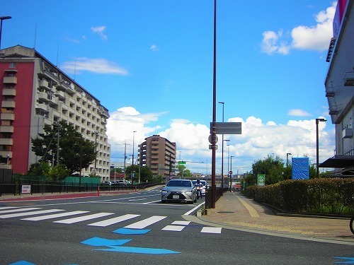 DSCN7849.jpg