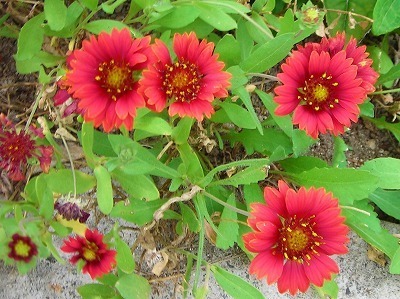 DSCN7873.jpg