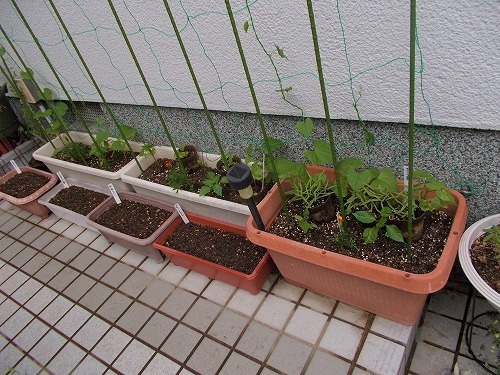 DSCN7885.jpg