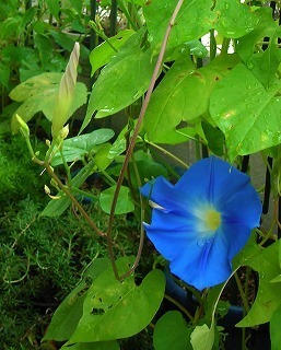 DSCN8017.jpg