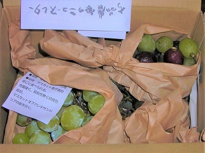 DSCN8072.jpg