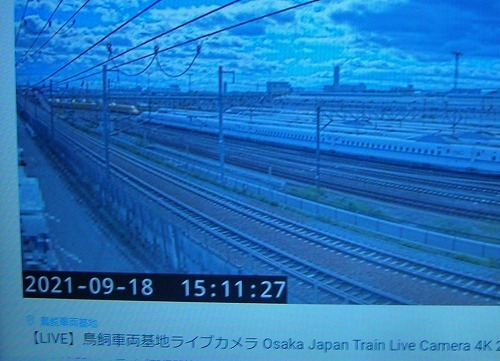 DSCN8096.jpg