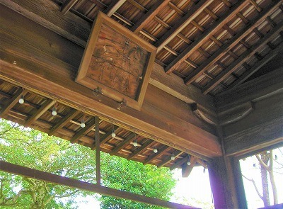 DSCN8341.jpg