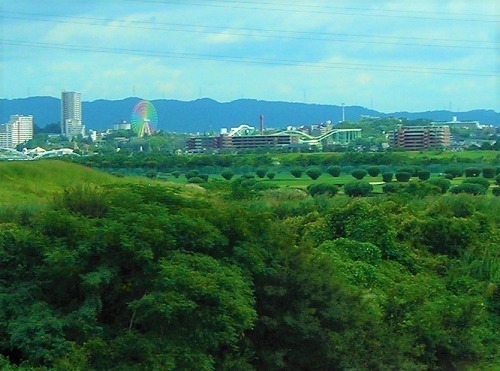 DSCN8411.jpg