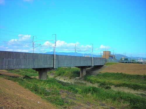 DSCN8415.jpg