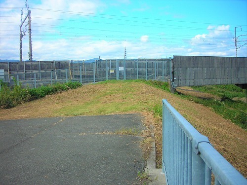DSCN8416.jpg