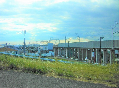 DSCN8417.jpg