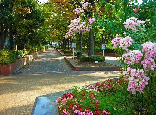 DSCN8476.jpg