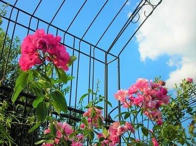 DSCN8535.jpg