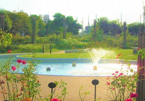 DSCN8564.jpg