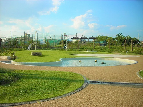 DSCN8568.jpg