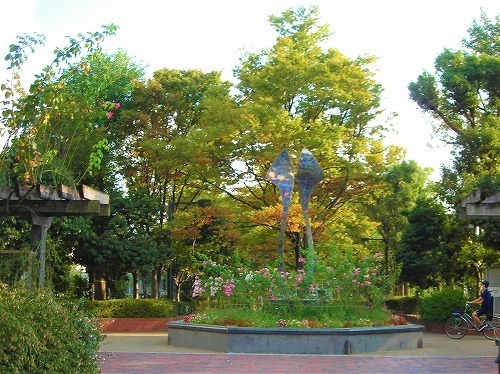 DSCN8570.jpg