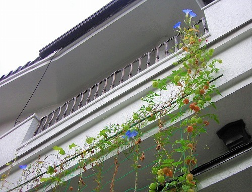 DSCN8606.jpg