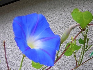 DSCN8611.jpg