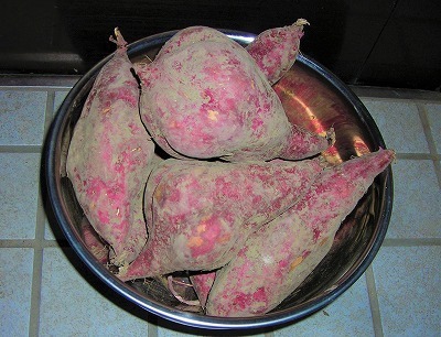 DSCN8615.jpg