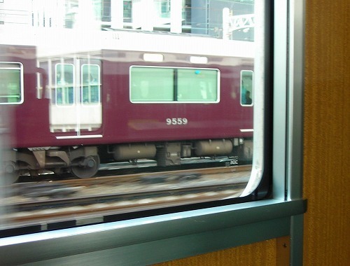 DSCN9050.jpg