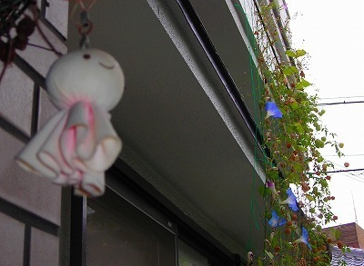 DSCN9184.jpg