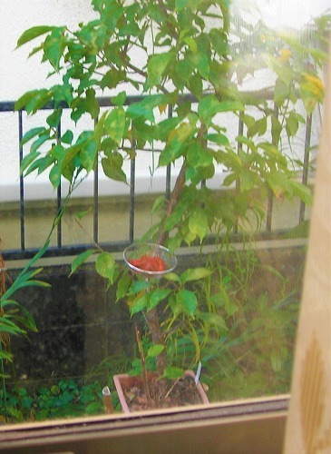 DSCN9343.jpg