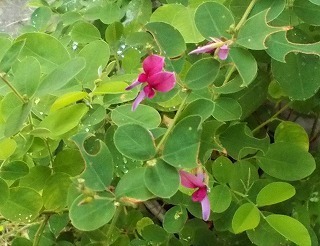 DSCN9745.jpg