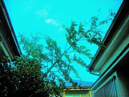 DSCN9776.jpg