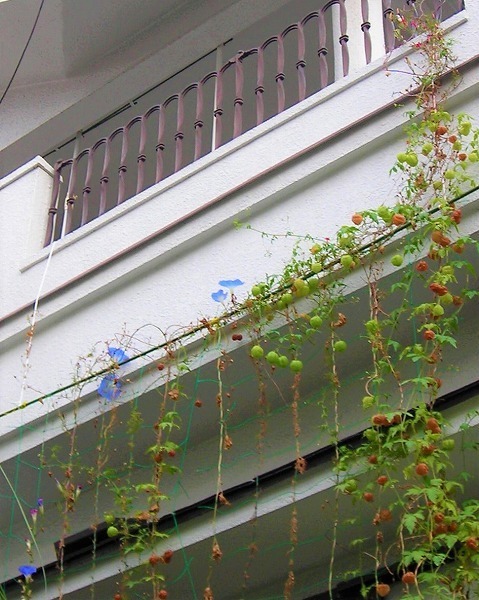 DSCN9794.jpg